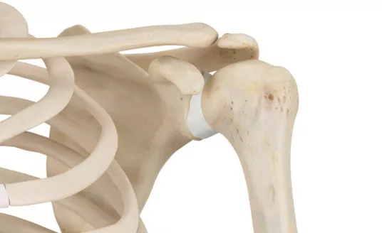 The Best Tools to Fight and Prevent Osteoporosis