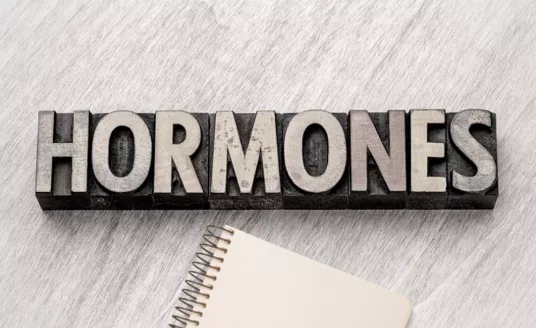 The 7 Hormones Everyone Should Know